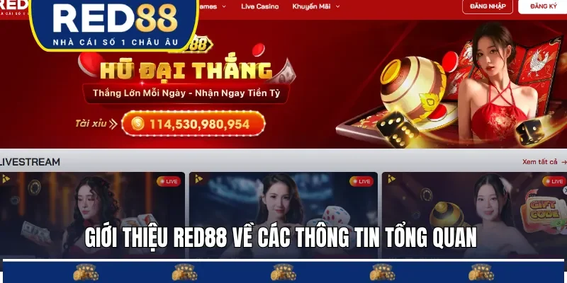 Giới thiệu RED88 về các thông tin quan trọng 