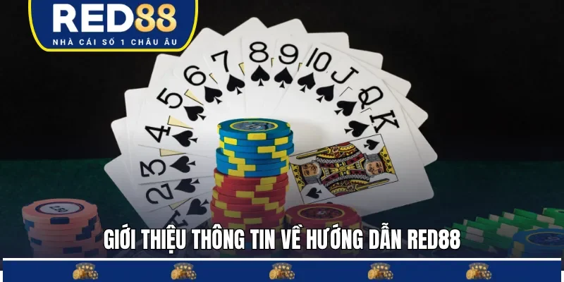 Hướng dẫn RED88 giúp hội viên sử dụng nền tảng đúng cách 