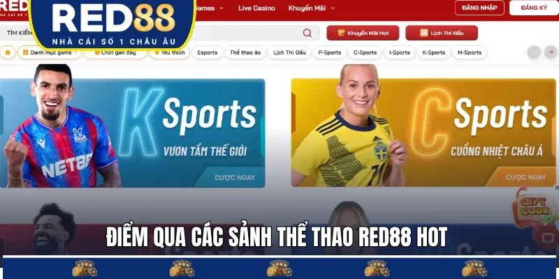 Chuyên mục hợp tác với nhiều đối tác thể thao hàng đầu 
